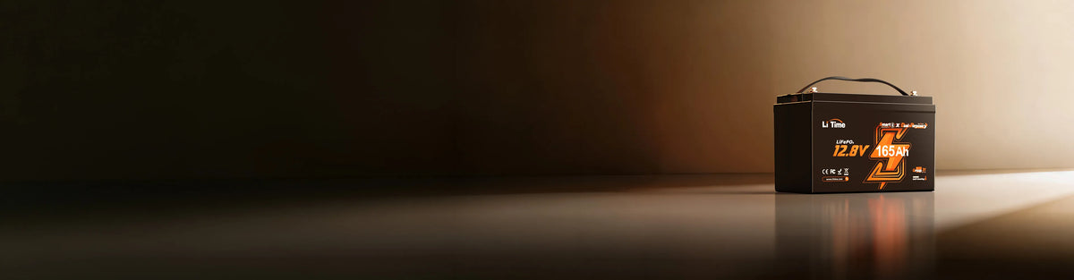 LiTime Self-Heating Batteries