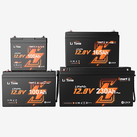 shop litime 12v battery
