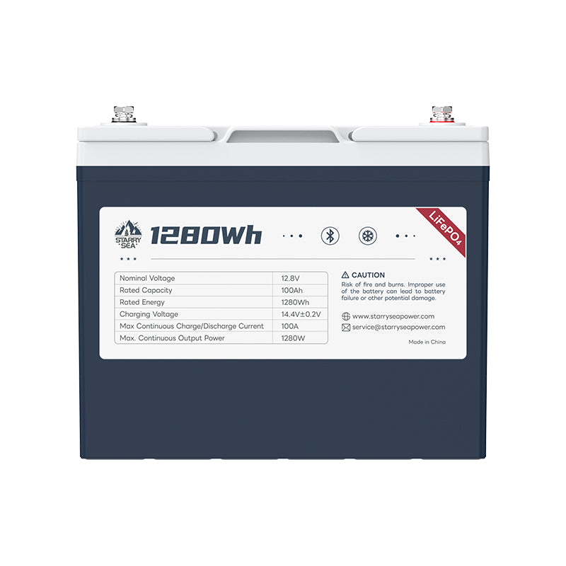 LiTime Starry Sea 12V 100Ah group 24 bluetooth battery