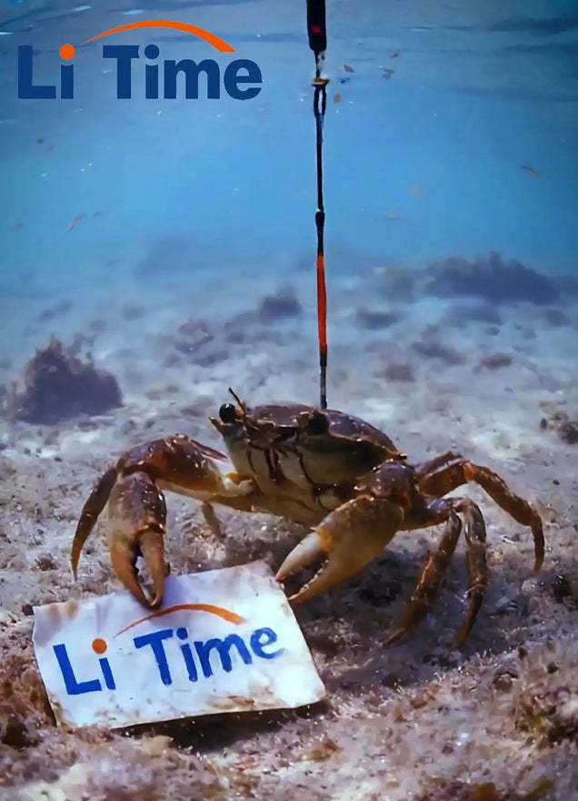 An unexpected catch.