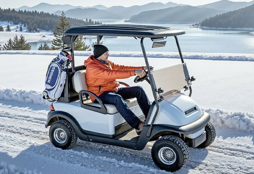 power golf cart with litime best lithium batteries with low-temp protection