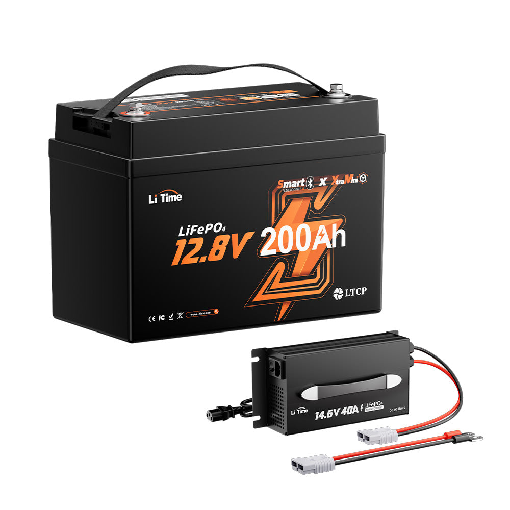 LiTime 12.8V 200Ah mini LiFePO4 lithium battery 1pack with 40A charger produc