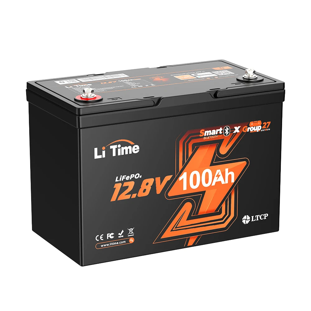 interface of LiTime 12v 100ah LiFePO4 Battery Group27