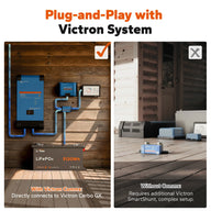 plug & play with victron system of litime 48v 100ah lithium battery